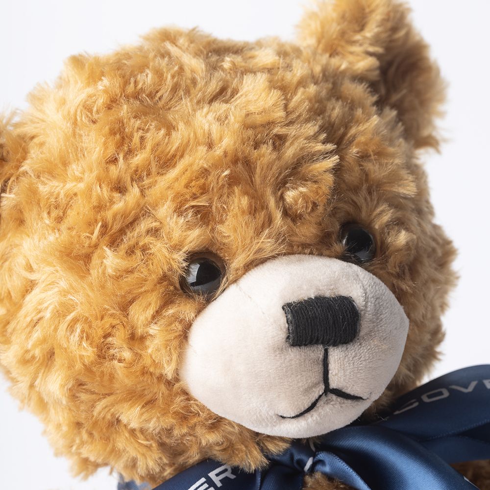 Ведмідь іграшковий Discovery (43833)